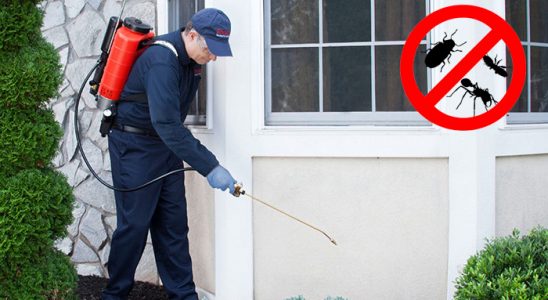Bodrum Gümüşkurt İlaçlama böcek ilaçlama ve haşere kontrolü — ilaclama-tr.com
